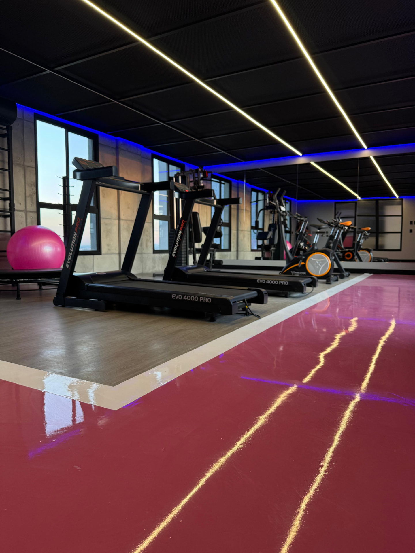 Academia moderna com piso emborrachado roxo